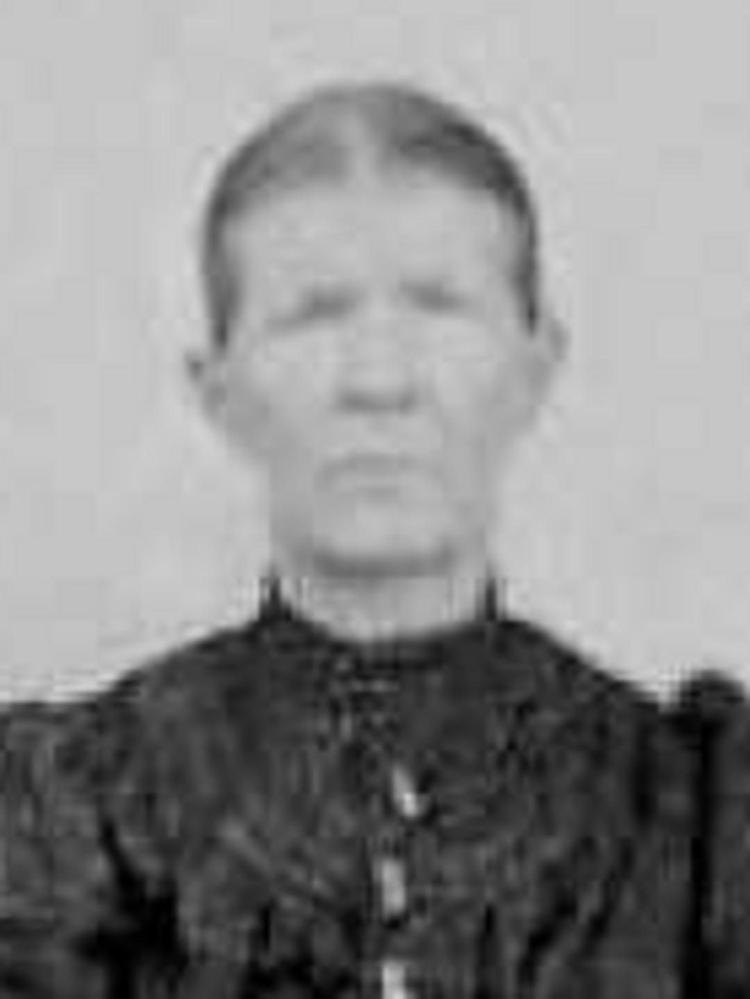 Alice Virginia Allred (1854 - 1928) Profile